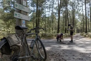 Two cyclists examining a worn cycle path intersection in a quiet pine forest, with a weathered bicycle resting by a wooden signpost.